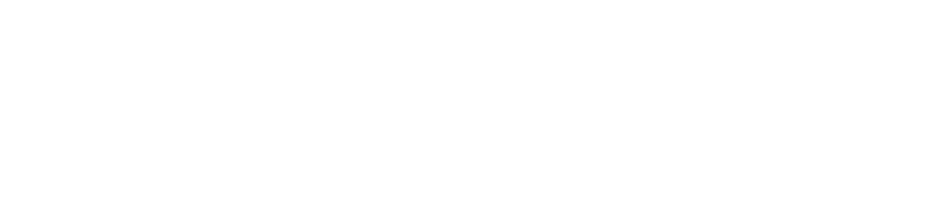 First Pass Airport Services